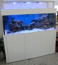 Gesamtansicht 670L Aquarium Versicherungsbüro